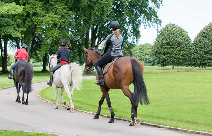Horse Riding Academy camp equitazione a Bath