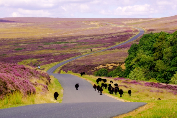 yorkshire vacanze per imparare inglese