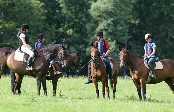 summer camp equitazione in Inghilterra con Viva International