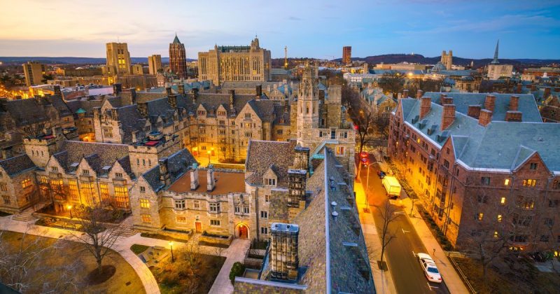 yale university