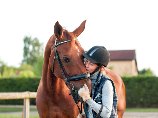 Camp estivo di equitazione in Inghilterra per ragazzi e ragazze dai 10 ai 17 anni con corso di inglese Camp estivo di equitazione in Inghilterra per ragazzi e ragazze dai 10 ai 17 anni con corso di inglese