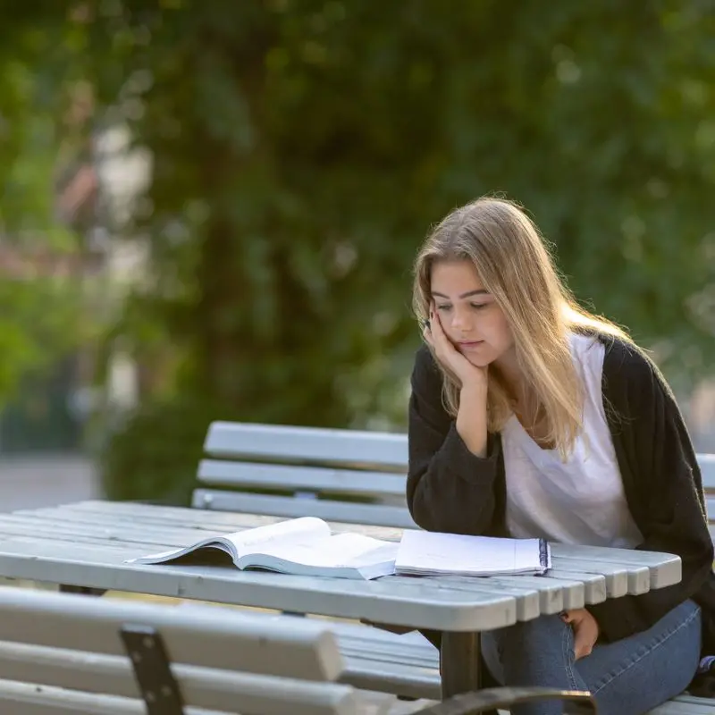 Esperienza scolastica internazionale in Danimarca Svezia e Norvegia
