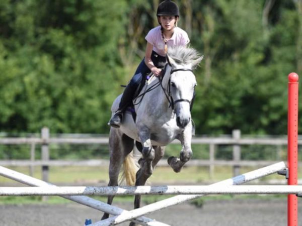 HORSE RIDING CAMP HORSE RIDING CAMP