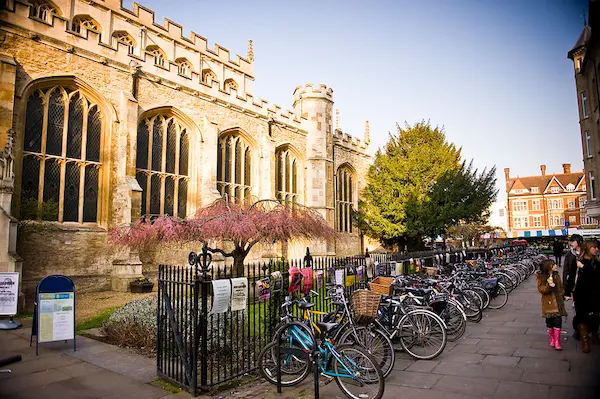 cambridge-csvpa-cortile