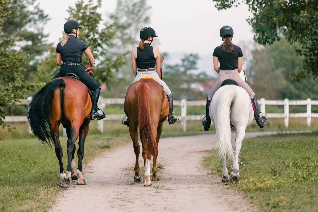 Horse Riding Horse Riding