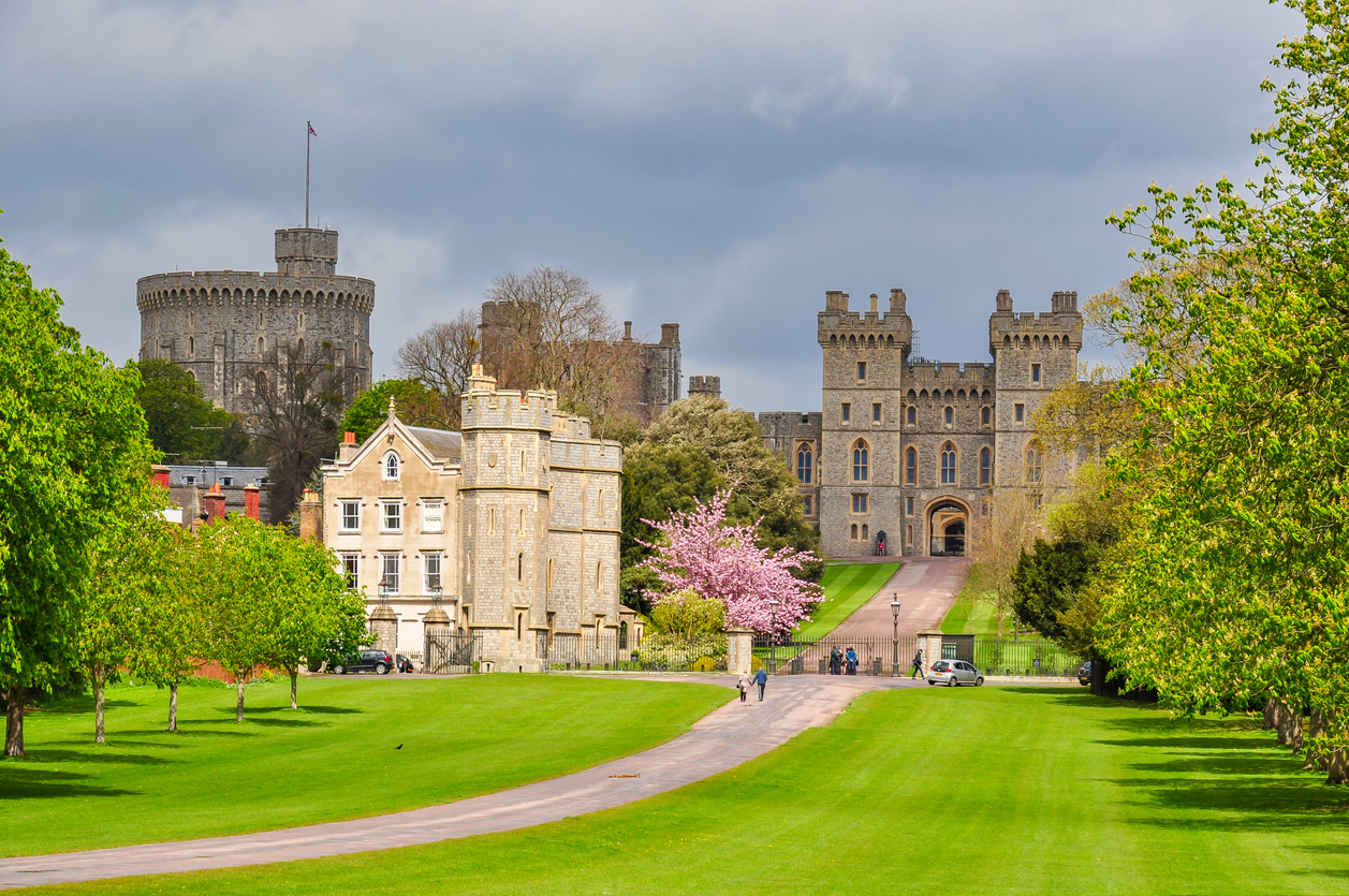 Windsor Windsor