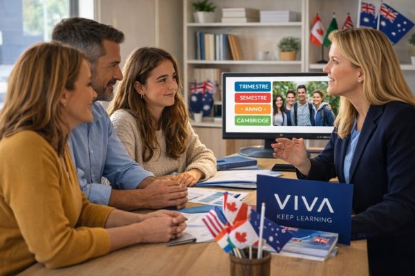 Anno-all-estero-colloquio-orientativo-con-il-consulente-VIVA
