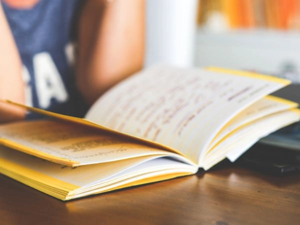anno all'estero