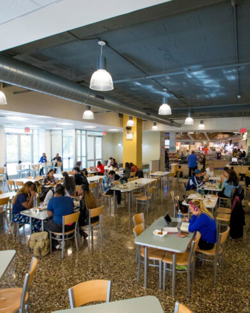 studenti sul campus della University of Mount Saint Vincent studenti sul campus della University of Mount Saint Vincent