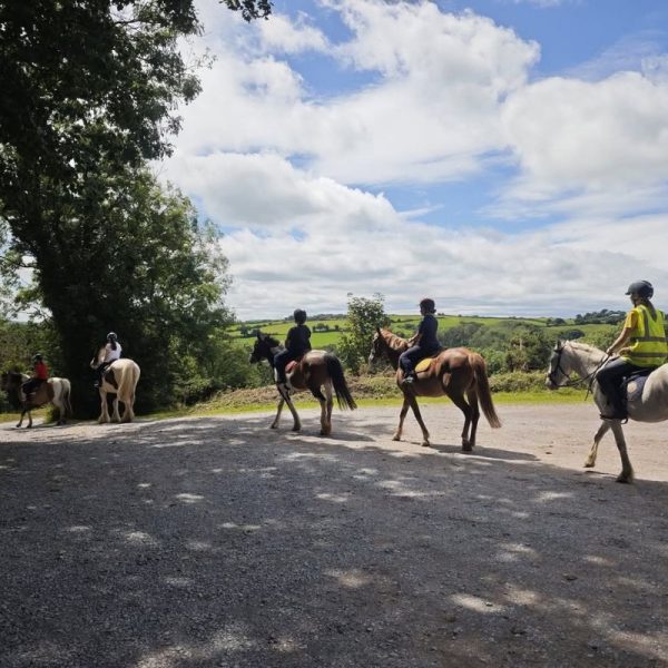 Passeggiata a cavallo in vacanza studio con equitazione a Cork Passeggiata a cavallo in vacanza studio con equitazione a Cork