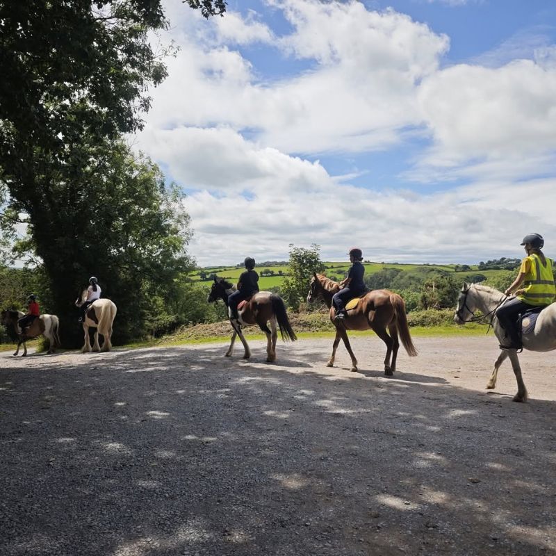 Passeggiata a cavallo in vacanza studio con equitazione a Cork Passeggiata a cavallo in vacanza studio con equitazione a Cork